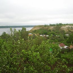 Areeka, Фрязино